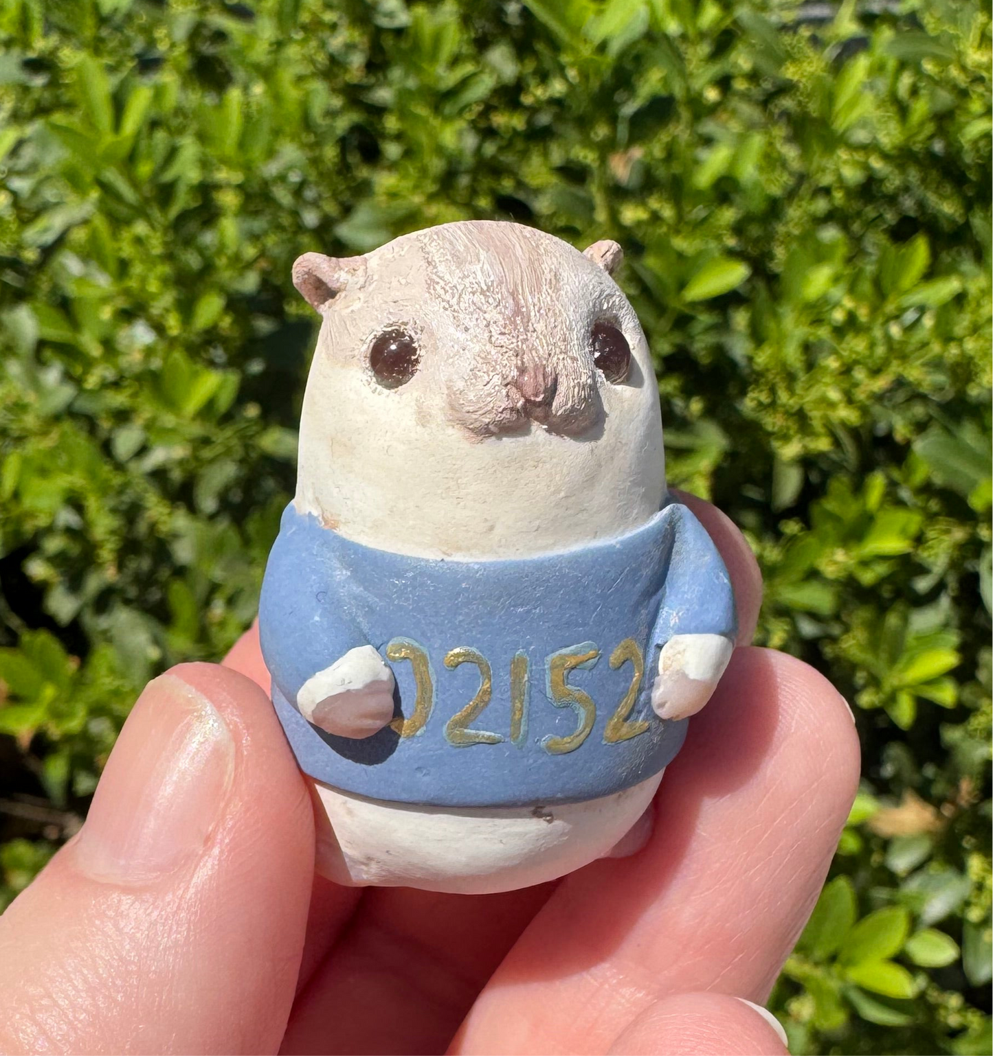 Winthrop Pride Hamsters