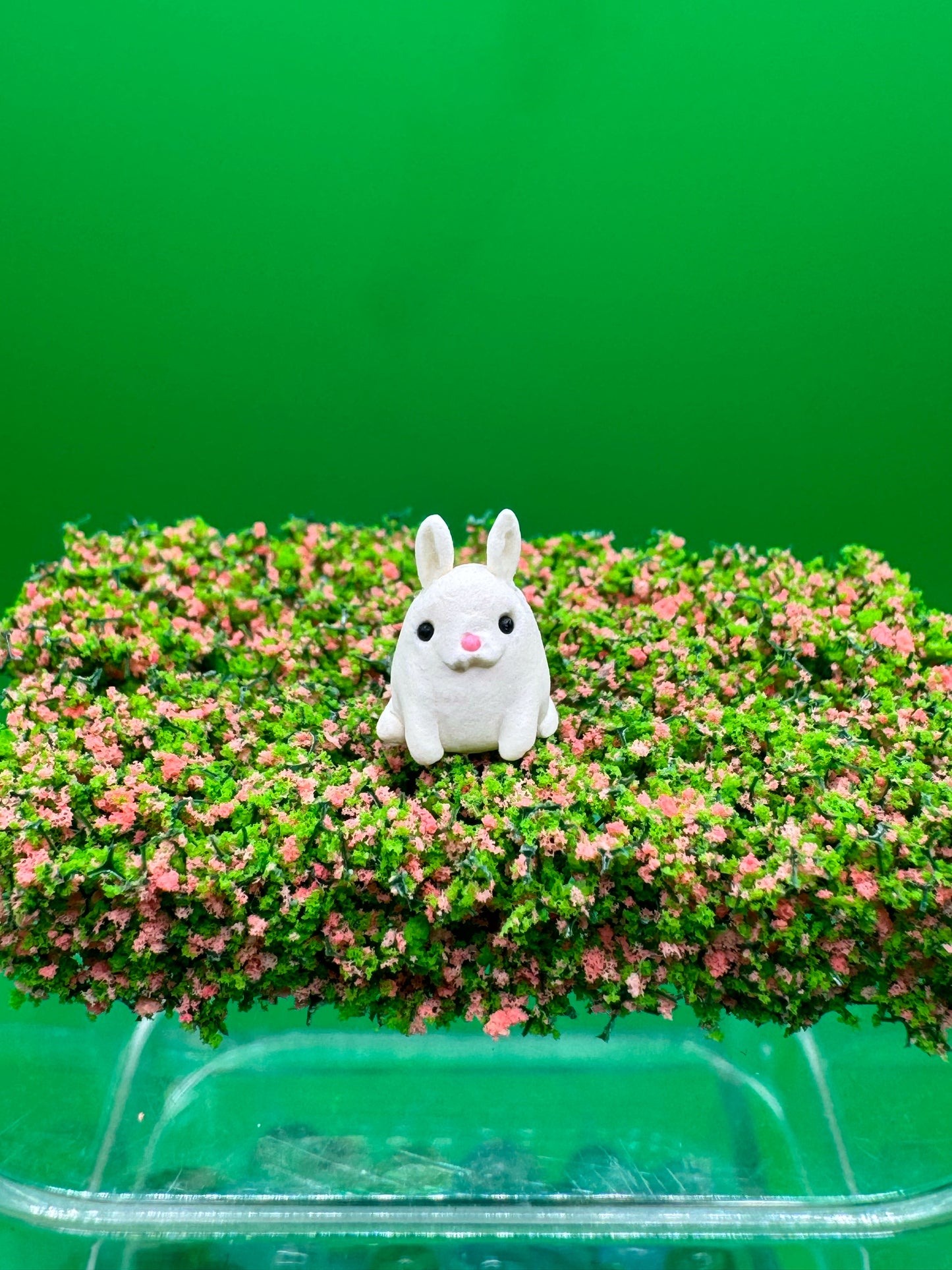 Micro Bunny