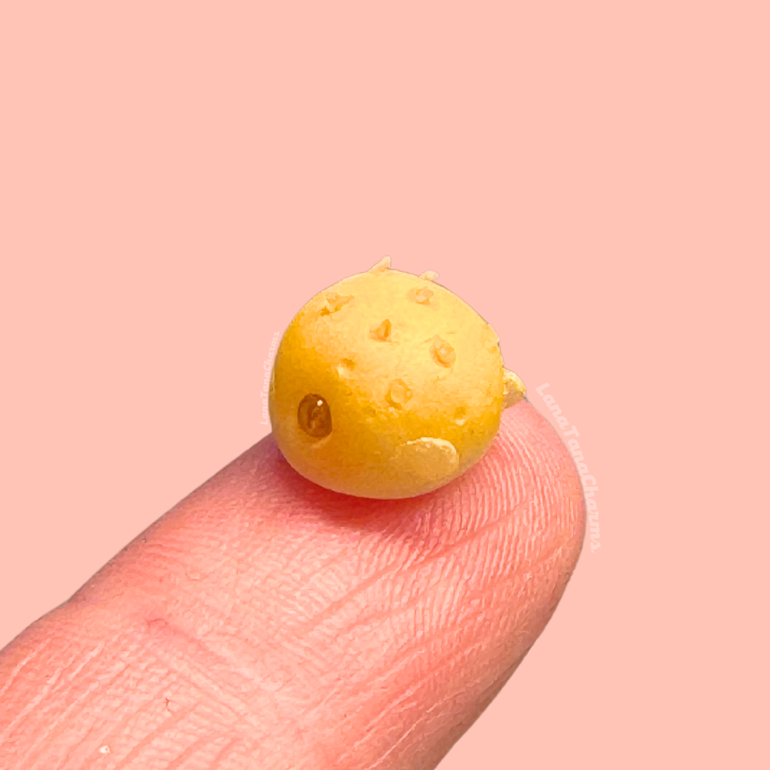 Micro Puffer Fish
