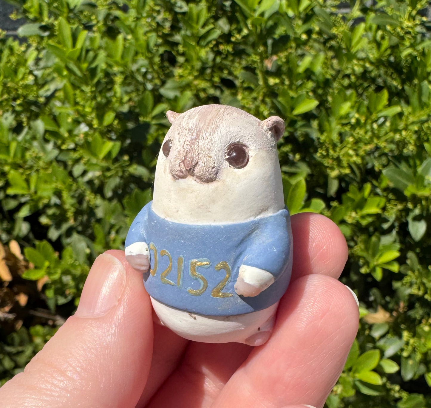 Winthrop Pride Hamsters
