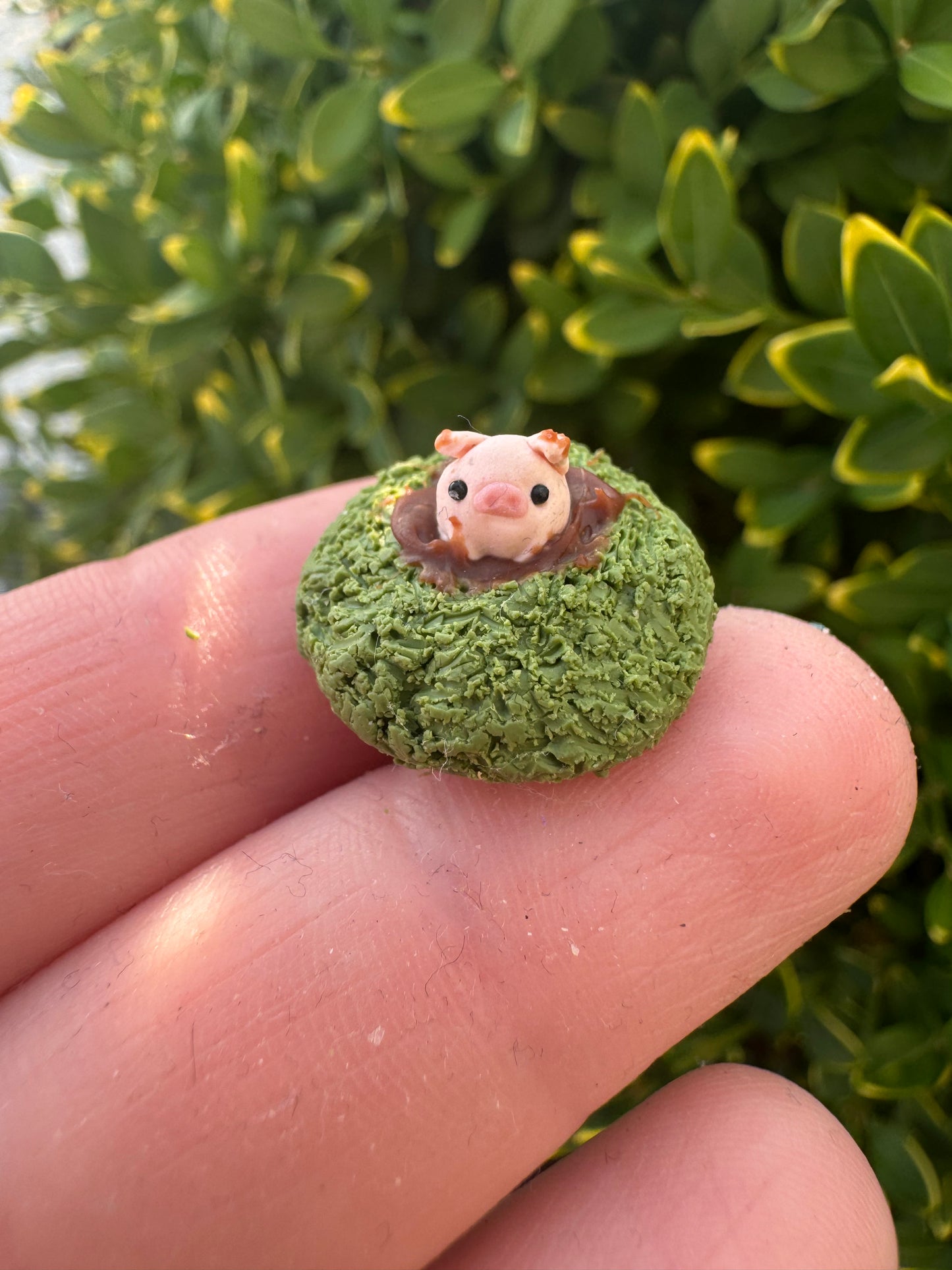 Micro Pig In Mud Figurine