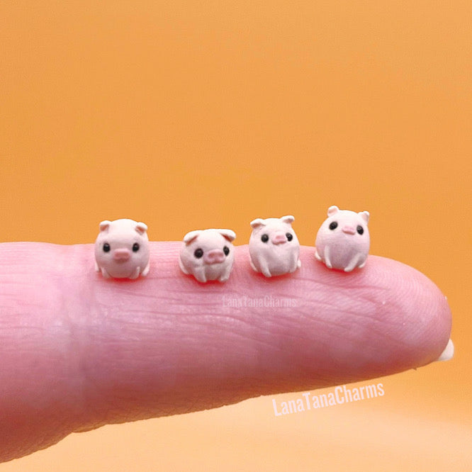 Micro Pig