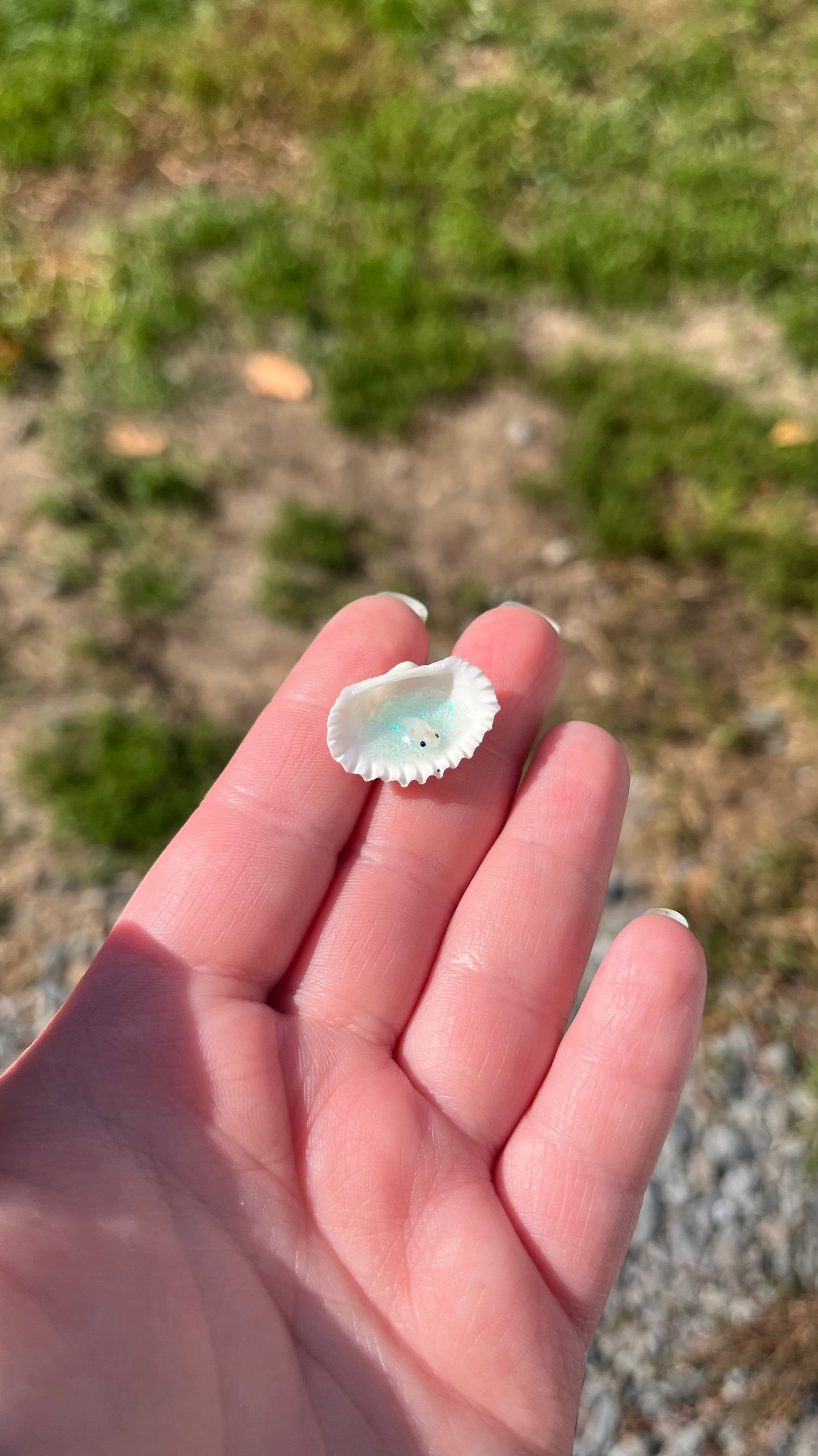 Seashell Koi Pond