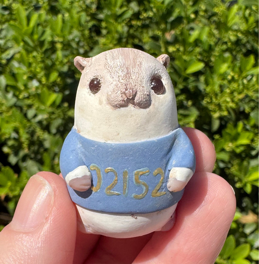 Winthrop Pride Hamsters