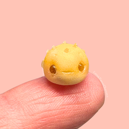 Micro Puffer Fish
