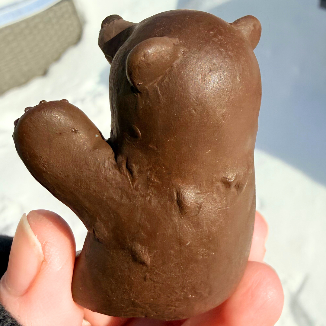 PREORDER Brown Bear - Desk Buddy or Keychain