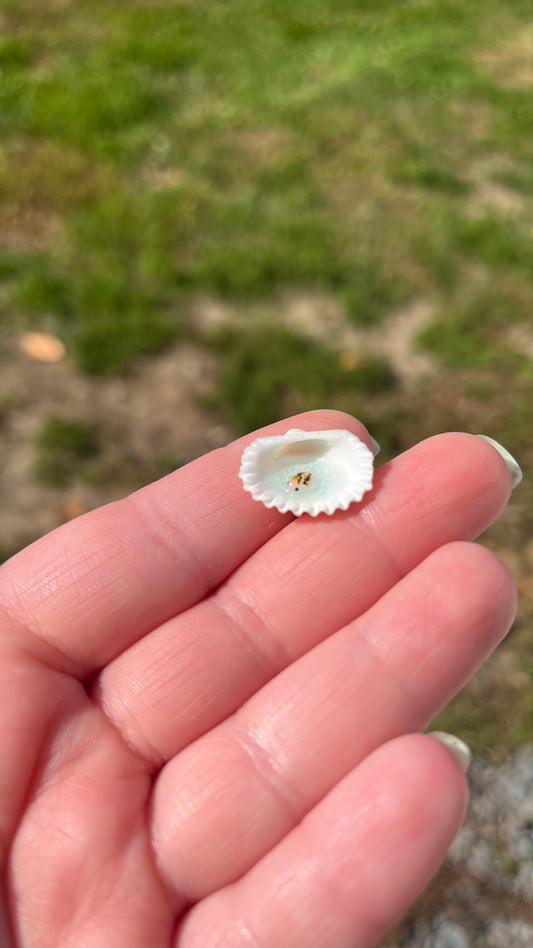 Seashell Koi Pond